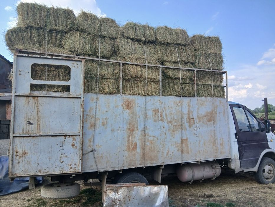 Шоп сатам Сено продам