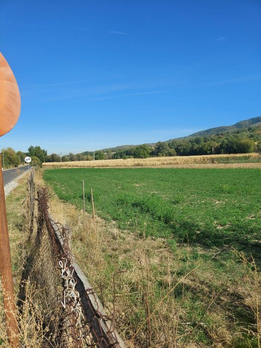 Teren intravilan Costesti