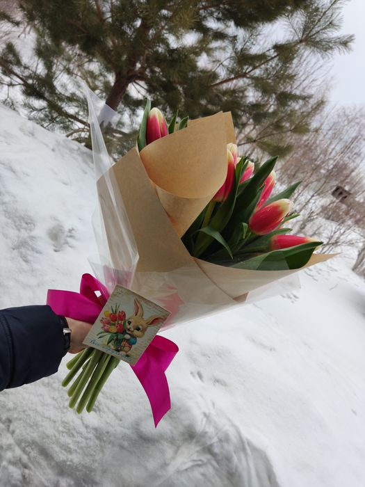 Тюльпаны Доставка