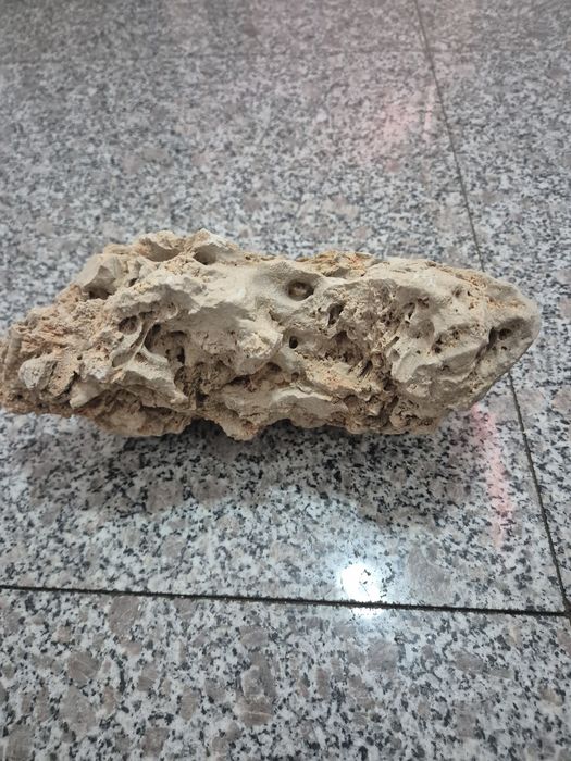 Piatra decorativa acvariu