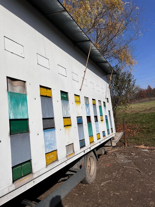 Vând mașină apicola MAN