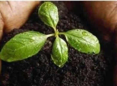 Доставка Чернозём Мешками