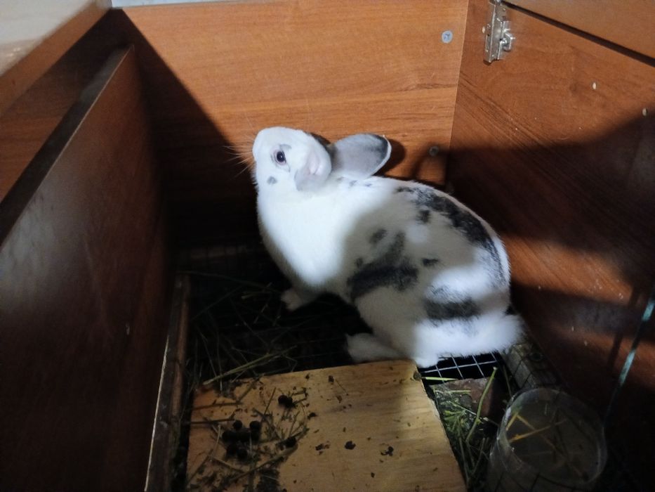 Жамил Курбанбаев