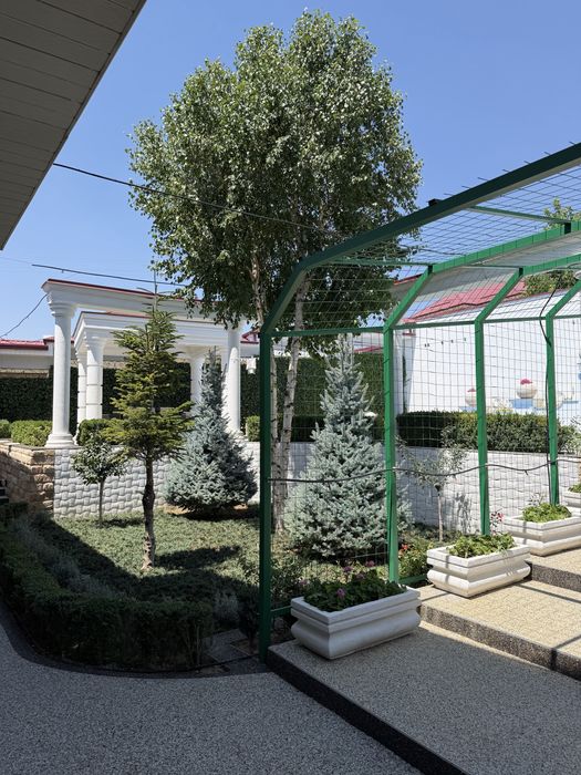dacha oqtosh sotiladi 6 sotix kirib yashashga tayyor