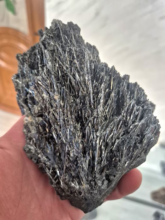 Flori de mină de vânzare