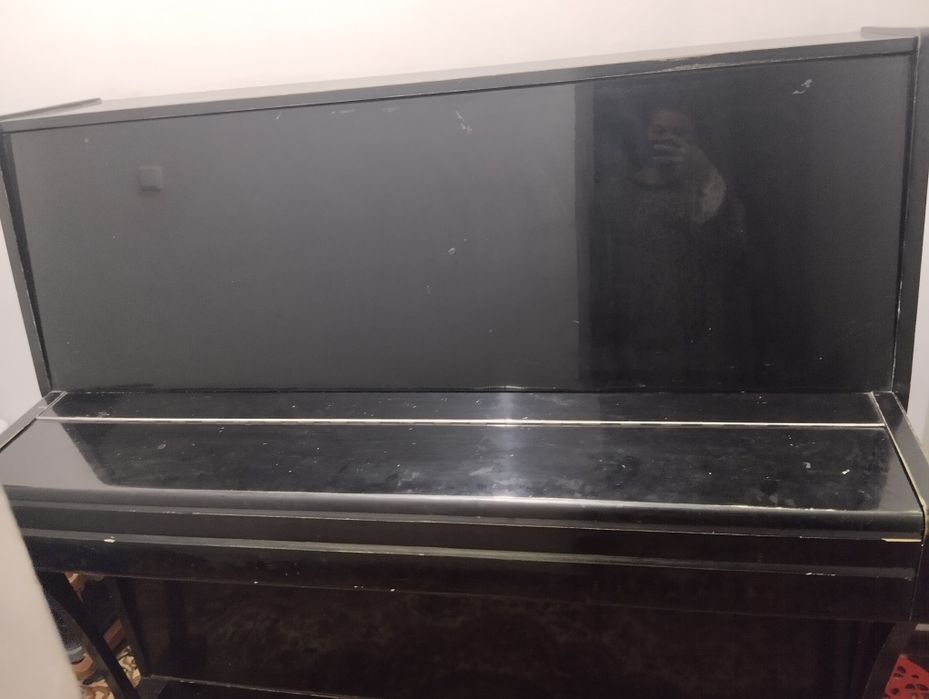 Ростов Дон пианино 300