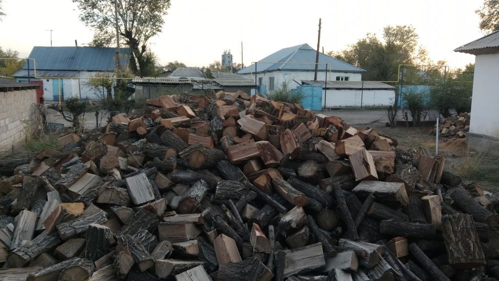 Дрова продам Карагач