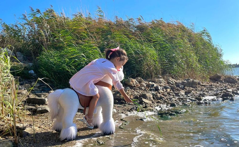 Vand pony cycle in stare foarte buna