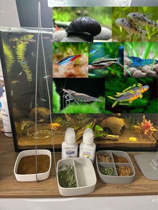 Аквариум 50 л + 10 л полные комплекты в Рассрочку. Ред.