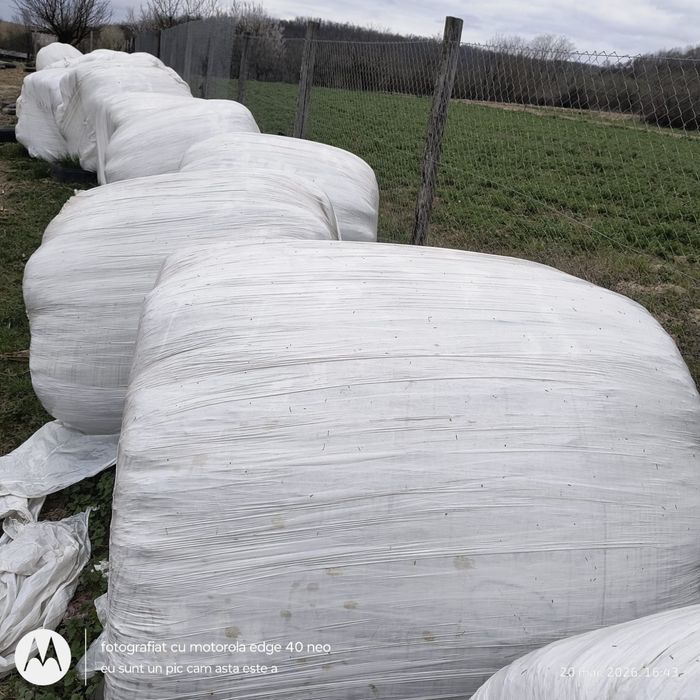 Vand baloti infoliati lucerna