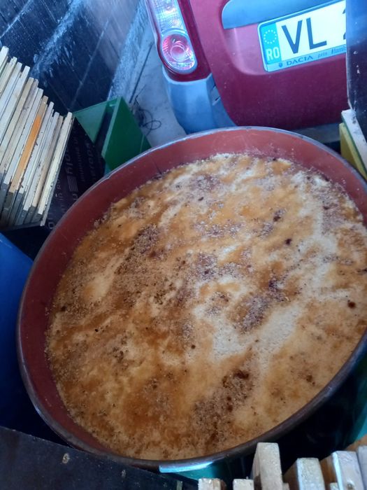 De vânzare 40 famili stupi