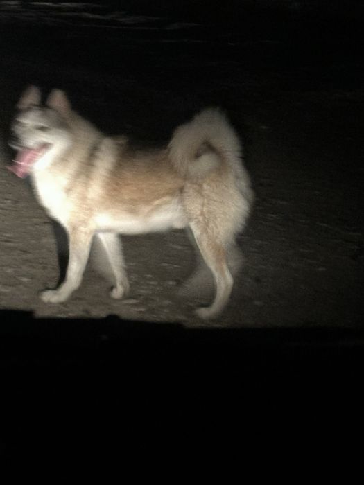 Достойный кабель лайка на  вязку