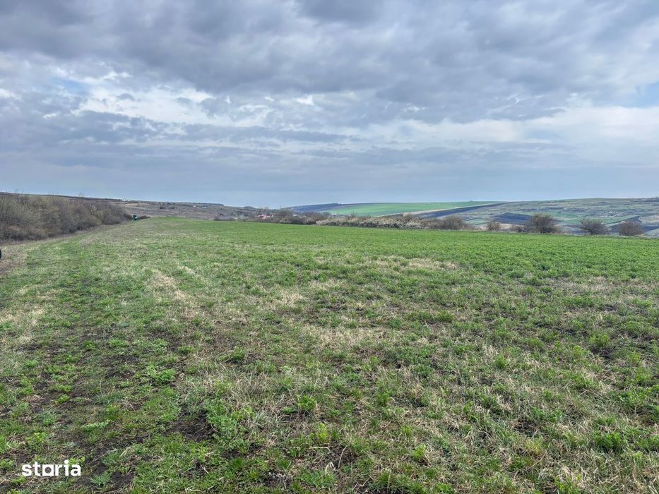 Teren cu panorama/ Dealul Fanatelor-7 km de Auchan