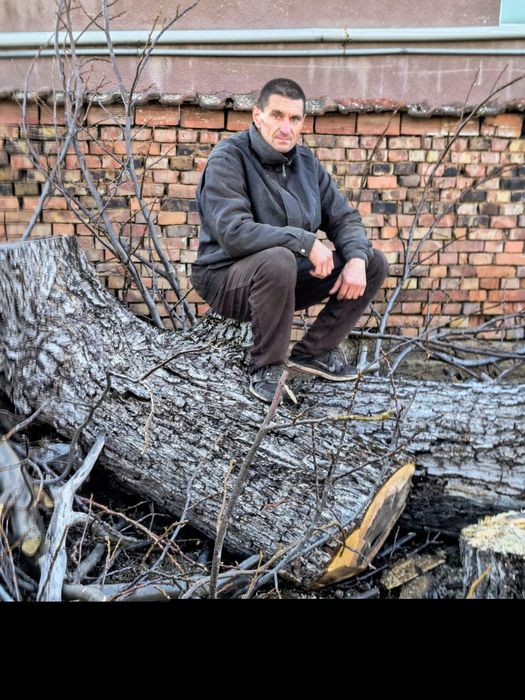 Рязане на дърва за огрев град Луковит
