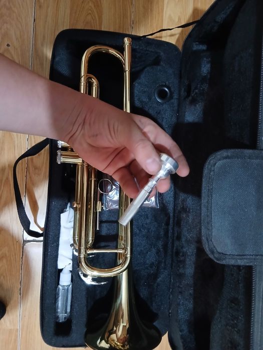 Vînd tropetă nouă am cupărato ce va timp în urmă schimb pe clarinet