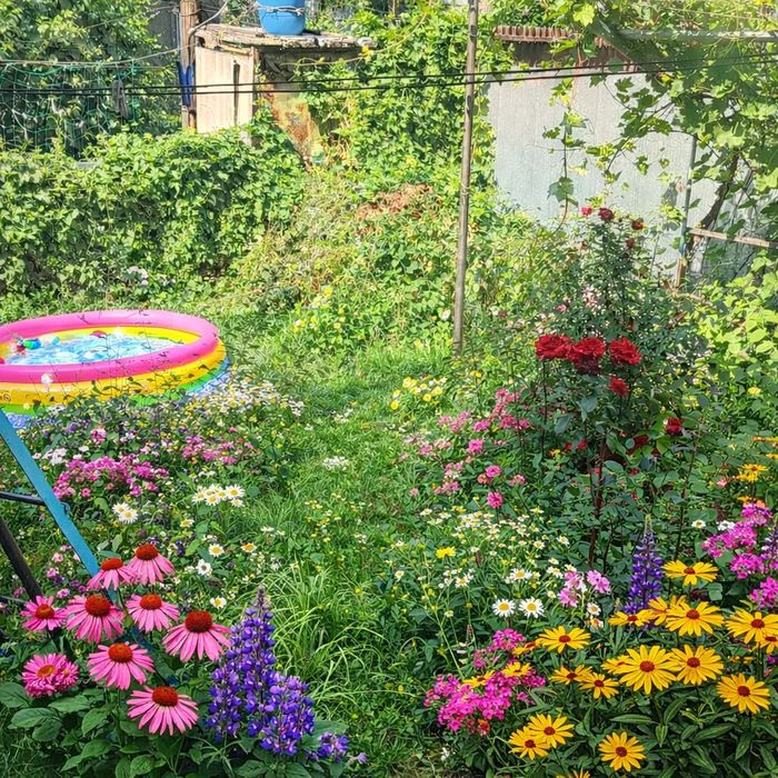 Срочная продажа дом мкр Кемел