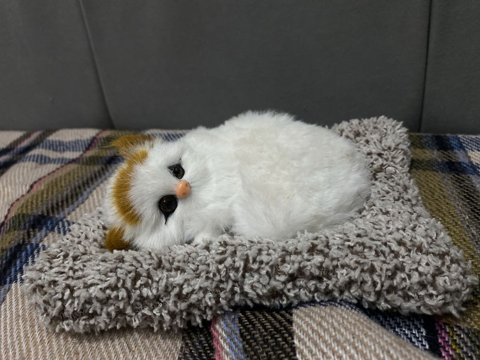 игрушечный котик мяукающий
