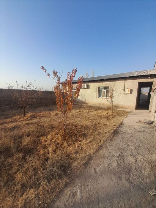 Uch qahramondan 7 km kirganda shodlik