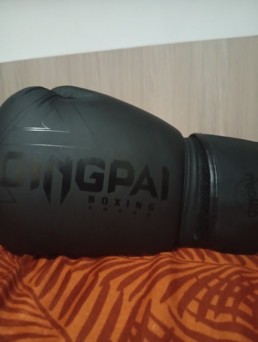 Mânusi de Box 10OZ GINPAI