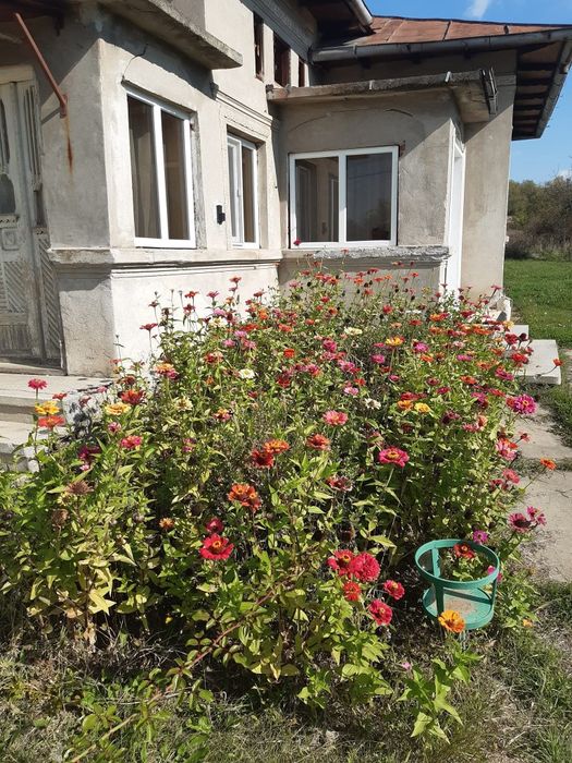 VAND CASA CU 4 CAMERE+HOOL suprafață 5500mp