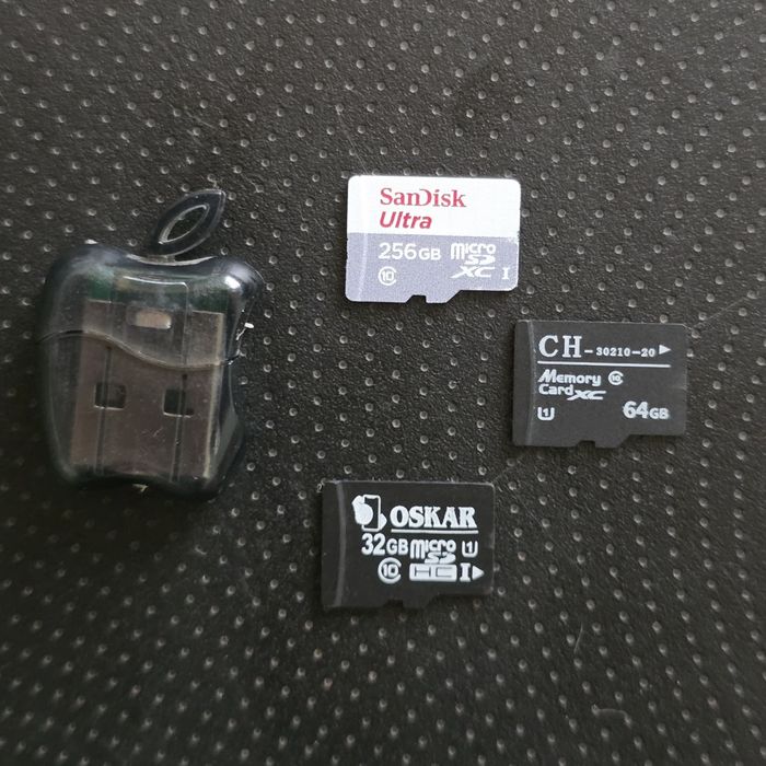 SanDisk 256 GB MicroSD