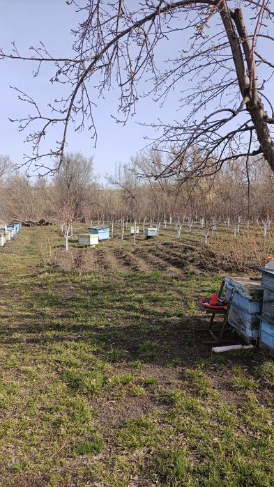 Продам улья  для пчёл