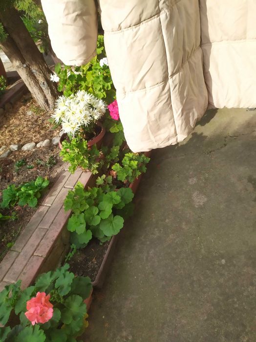 топло яке и по -дълго зимно