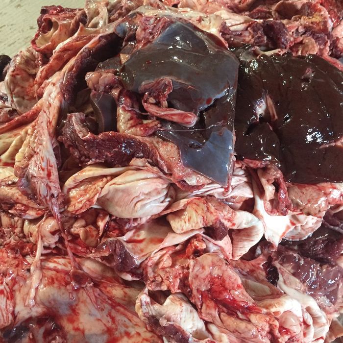 Брикет мясо для собак