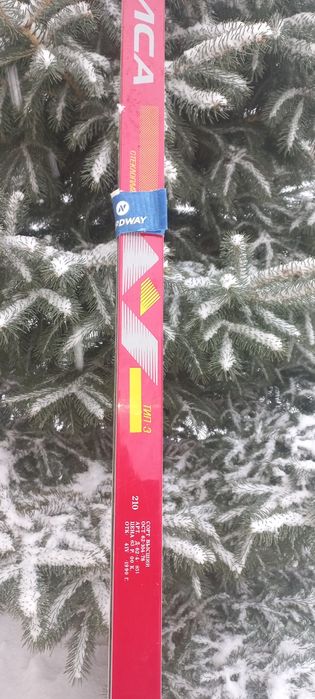 Лыжи Тисса  пластик