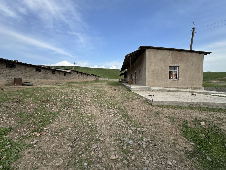 Ferma-kora sotiladi...