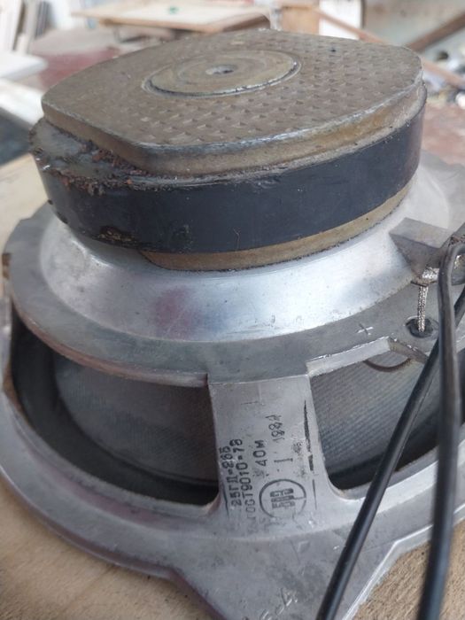 Калонки обычные