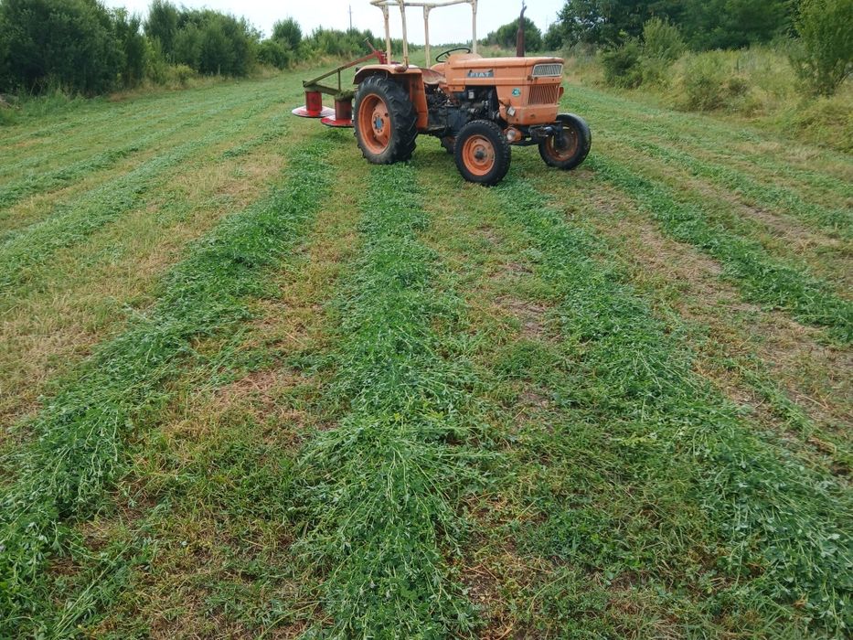 Baloți de lucernă și fân