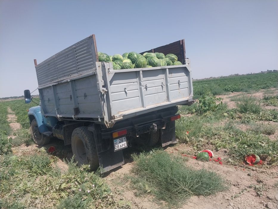 Доставка шебен сникерс песок зил селхоз