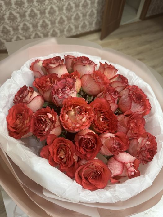 Продам цветы розы