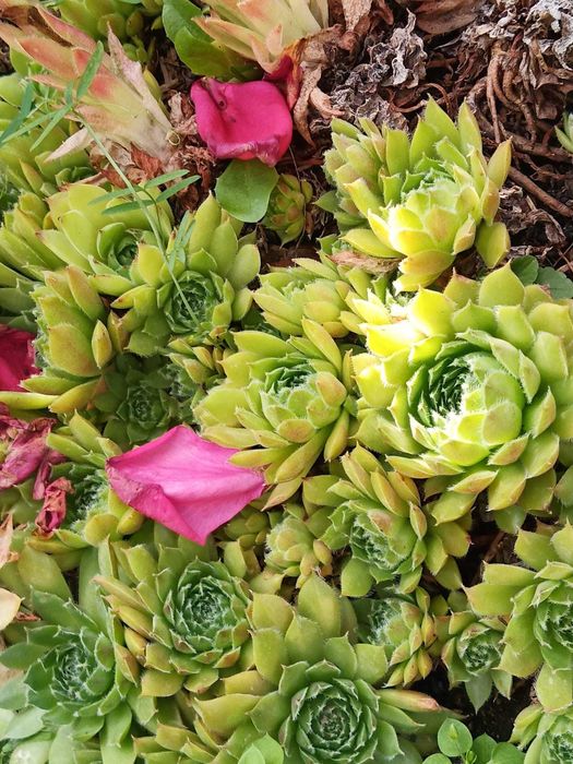 Продам дачу/Плотина/20 мкр