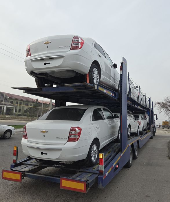 **Cobalt style msm 2026 masla