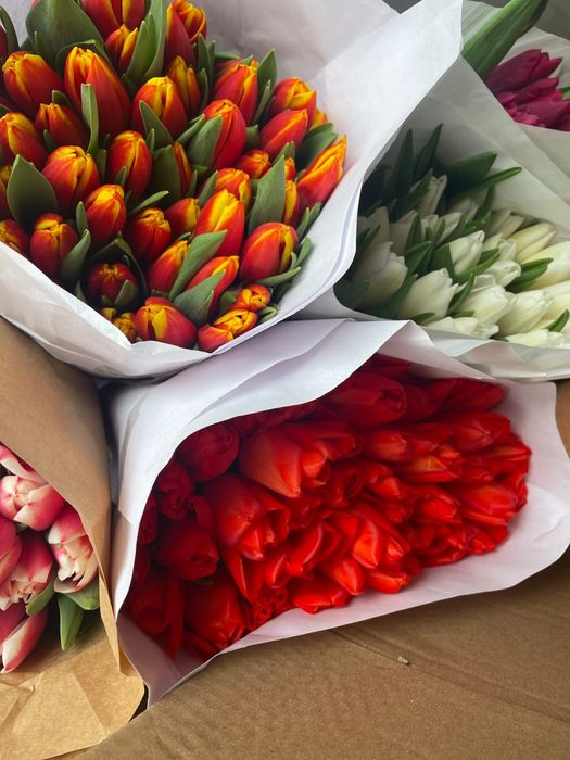 Тюльпаны на 8 марта