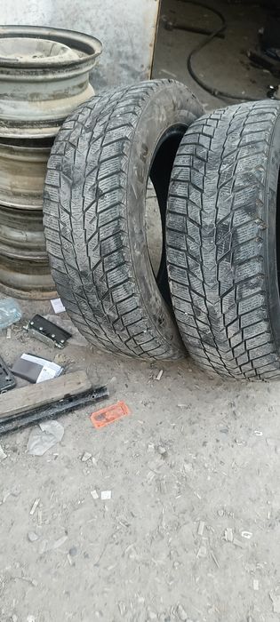 Авто шина сатылады