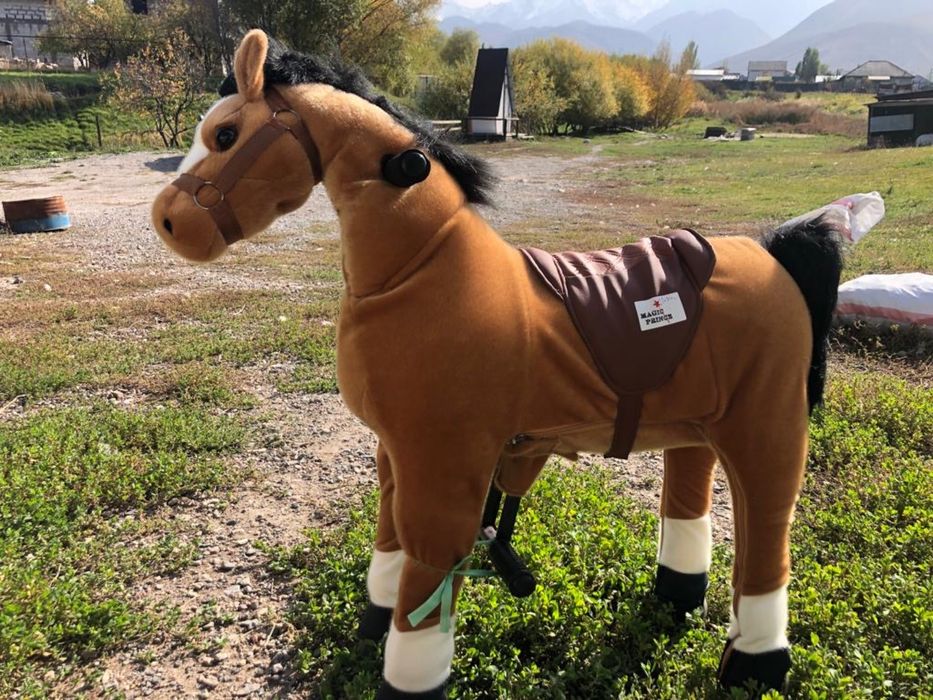 PonyCycle-Поницикл