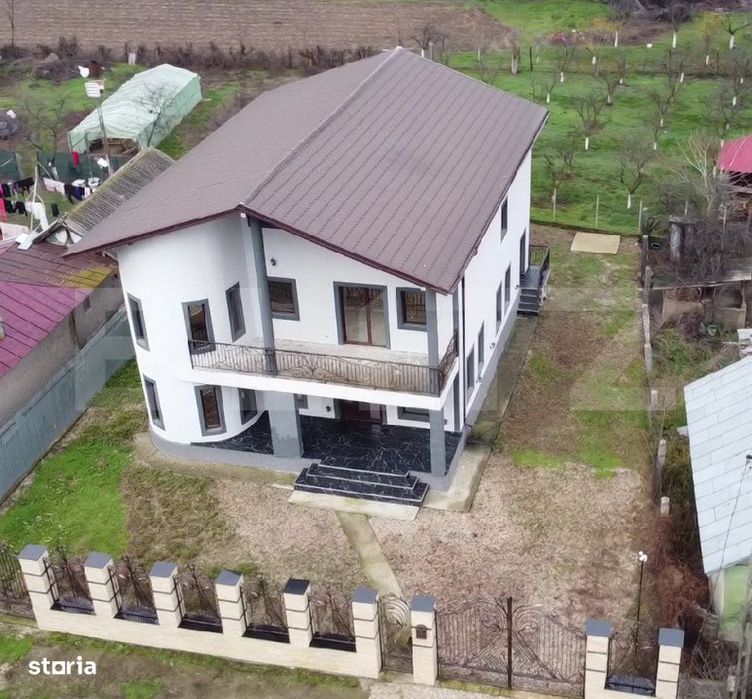 Liniste, spatiu si eleganta – casa superba langa Titu