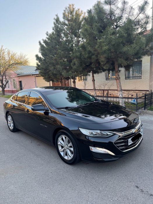 Malibu Premier 2020-21 Qora
