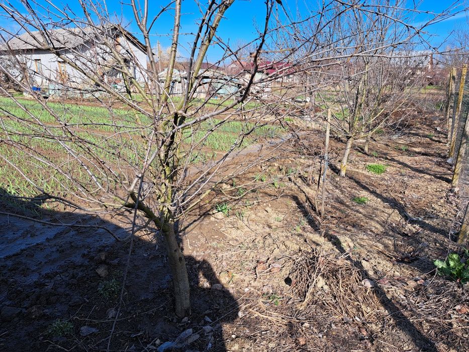 Vând urgent casă din BCA + un autoturism Volkswagen Tuareg 4x4