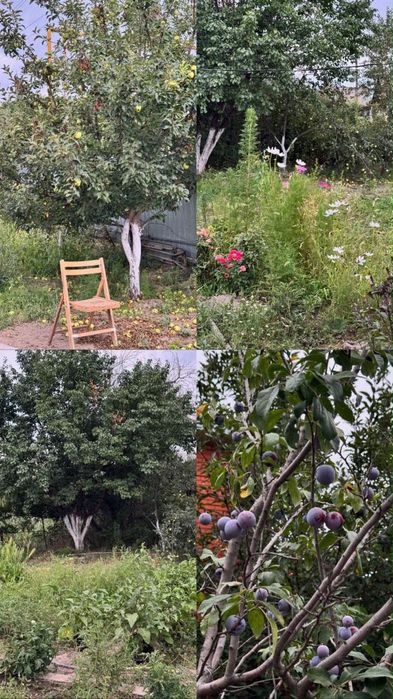 Продается дом 14 соток (ПКСТ Қарағай)