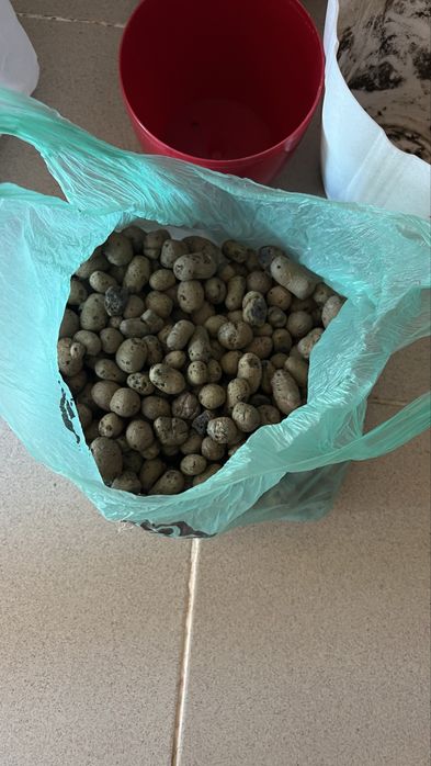 Продаются горшки и принадлежности