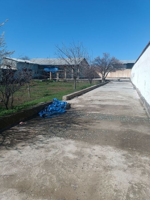 Ховли сотилади холати яхши