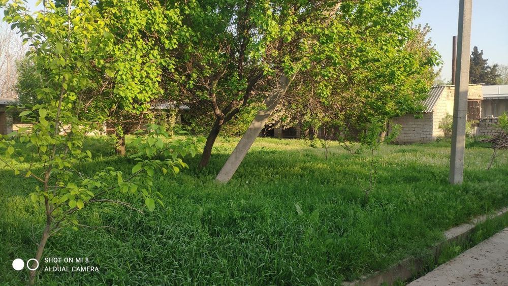 М.Улугбекский р-н Чингелди! Про-ся 20-соток земельный участок