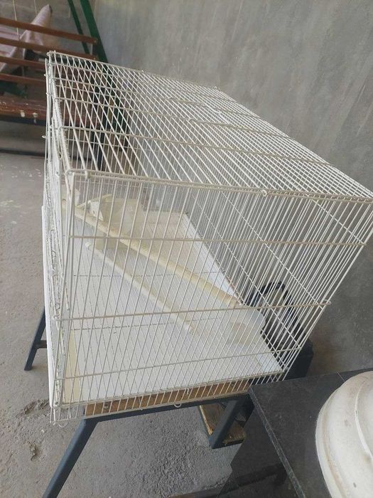 Qafas sotiladi, to'tiqushlar uchun