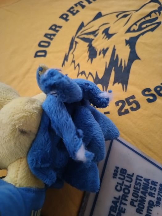 Lot echipa de fotbal Petrolul Ploiești