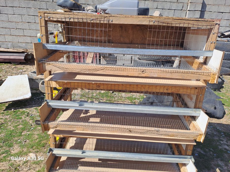 Бөдене клеткасы сатлады