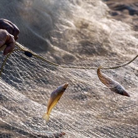 Yetuk rus minal qiz foto